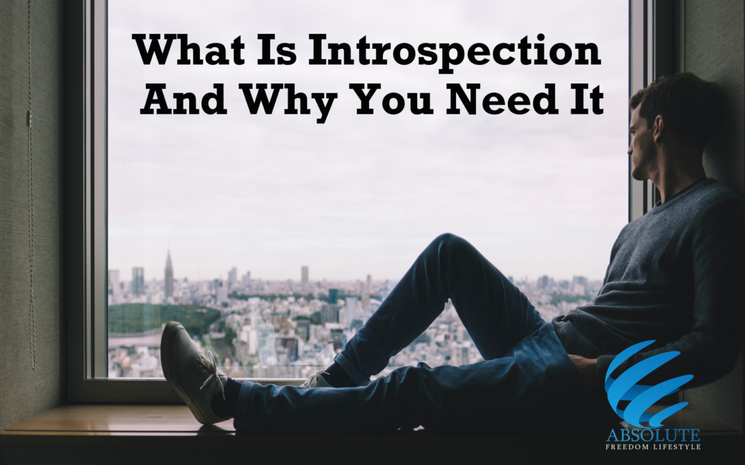 What Is Introspection